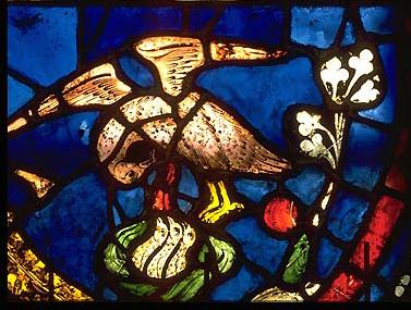 eagle feeding young,
Chartres cathedral, detail of window, and link to site l'Autoroute du Vitrail